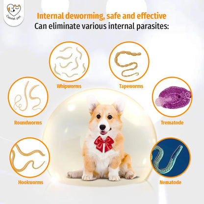 Cassicel-Pet Natural Dog Parasite Support Chews – Easy Feed Herbal Deworming Treats Chicken Flavor Parasite & Wellness Boost Treats Supports Digestive & Skin Health Immune Support